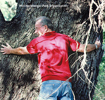 phardbergertree1